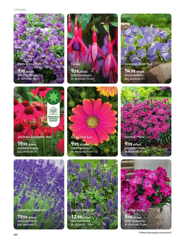 Castorama - gazetka promocyjna Uprawa od piątku 27.03 do wtorku 31.03 - strona 12