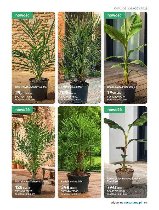 Castorama - gazetka promocyjna Uprawa od piątku 27.03 do wtorku 31.03 - strona 17