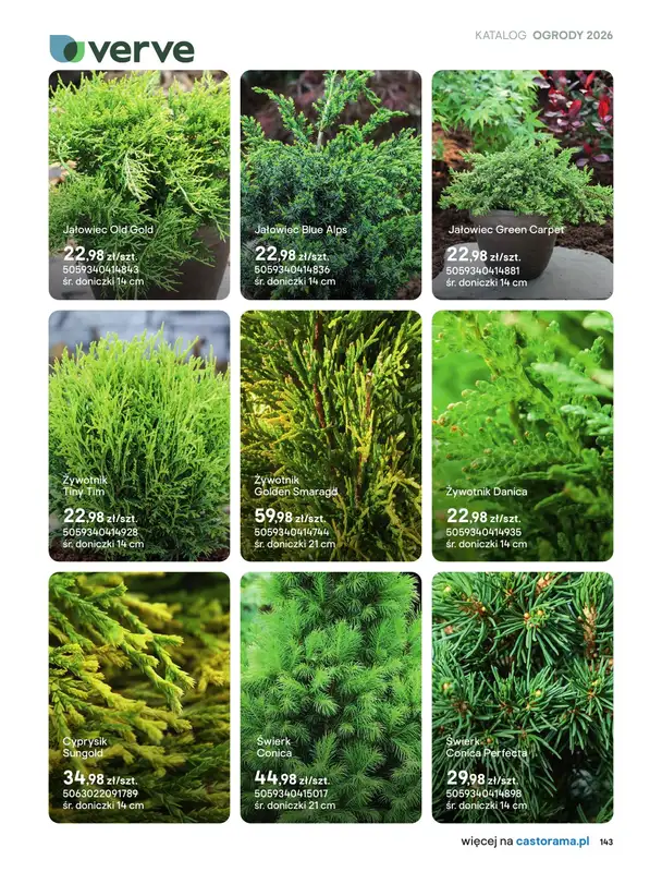 Castorama - gazetka promocyjna Uprawa od piątku 27.03 do wtorku 31.03 - strona 11