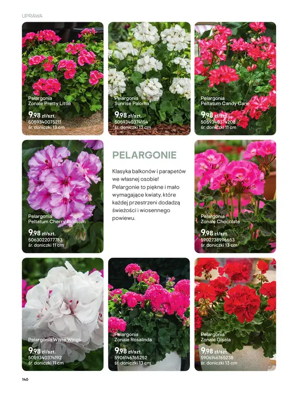 Castorama - gazetka promocyjna Uprawa od piątku 27.03 do wtorku 31.03 - strona 8