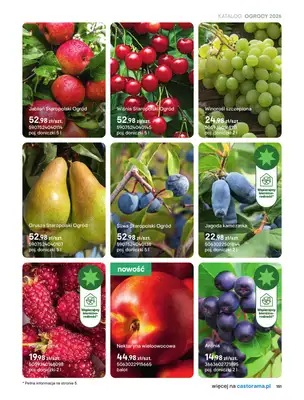 Castorama - gazetka promocyjna Uprawa od piątku 27.03 do wtorku 31.03 - strona 19