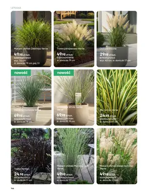 Castorama - gazetka promocyjna Uprawa od piątku 27.03 do wtorku 31.03 - strona 14