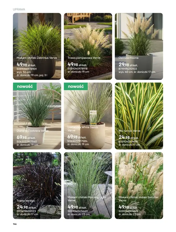 Castorama - gazetka promocyjna Uprawa od piątku 27.03 do wtorku 31.03 - strona 14