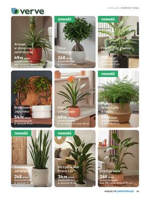 Castorama - gazetka promocyjna Uprawa od piątku 27.03 do wtorku 31.03 - strona 29