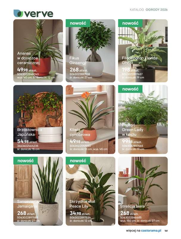 Castorama - gazetka promocyjna Uprawa od piątku 27.03 do wtorku 31.03 - strona 29