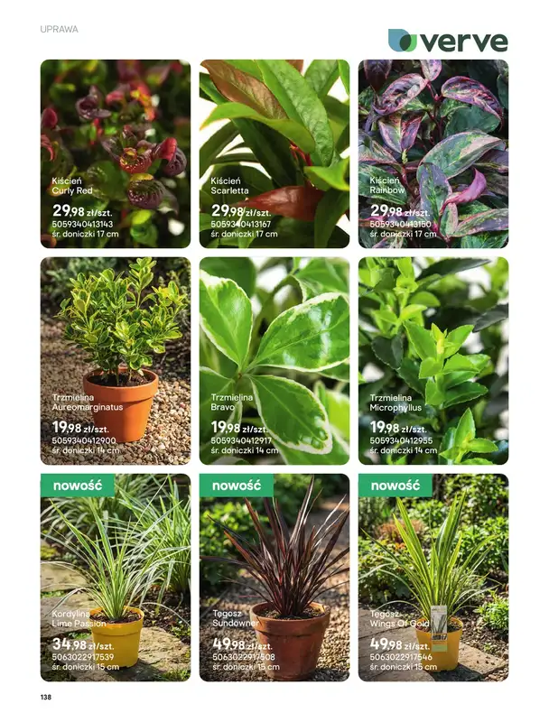 Castorama - gazetka promocyjna Uprawa od piątku 27.03 do wtorku 31.03 - strona 6