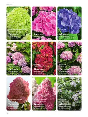 Castorama - gazetka promocyjna Uprawa od piątku 27.03 do wtorku 31.03 - strona 4