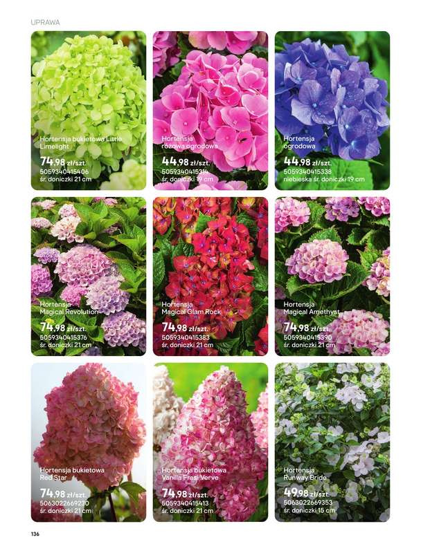 Castorama - gazetka promocyjna Uprawa od piątku 27.03 do wtorku 31.03 - strona 4