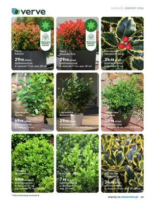 Castorama - gazetka promocyjna Uprawa od piątku 27.03 do wtorku 31.03 - strona 7