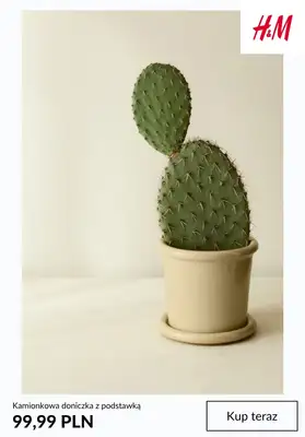 H&M - gazetka promocyjna Home: doniczki od niedzieli 29.03  - strona 7