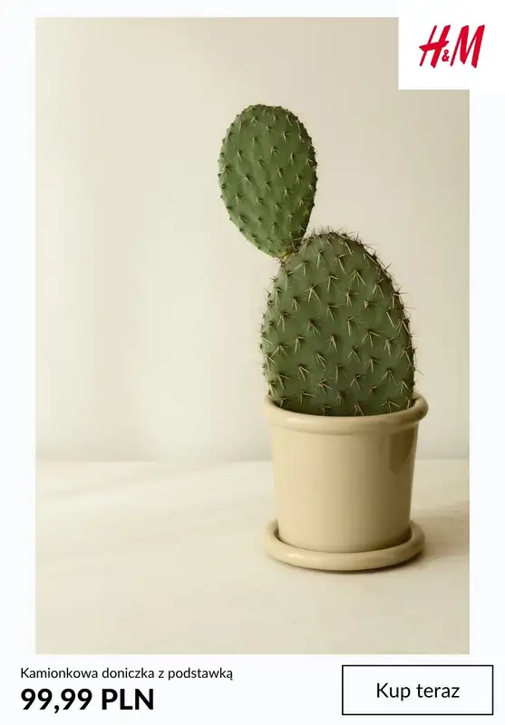 H&M - gazetka promocyjna Home: doniczki od niedzieli 29.03  - strona 7