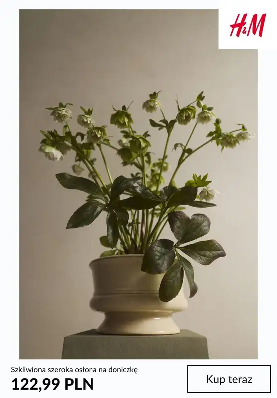 H&M - gazetka promocyjna Home: doniczki od niedzieli 29.03  - strona 9