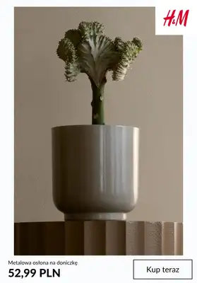 H&M - gazetka promocyjna Home: doniczki od niedzieli 29.03  - strona 4
