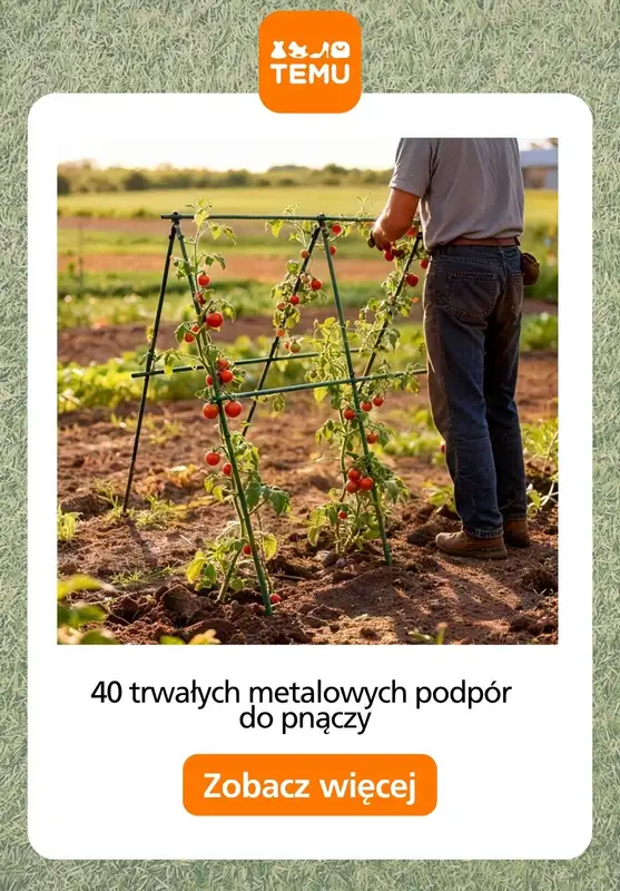 Temu - gazetka promocyjna Porządki w ogrodzie od piątku 27.03  - strona 8