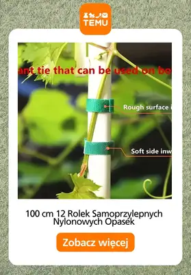 Temu - gazetka promocyjna Porządki w ogrodzie od piątku 27.03  - strona 6