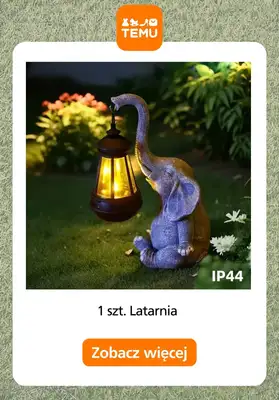 Temu - gazetka promocyjna Porządki w ogrodzie od piątku 27.03  - strona 9