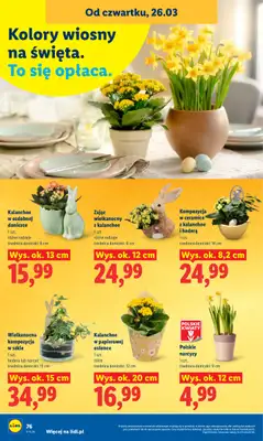 Lidl - gazetka promocyjna Oferta od czwartku od czwartku 26.03 do niedzieli 29.03 - strona 76