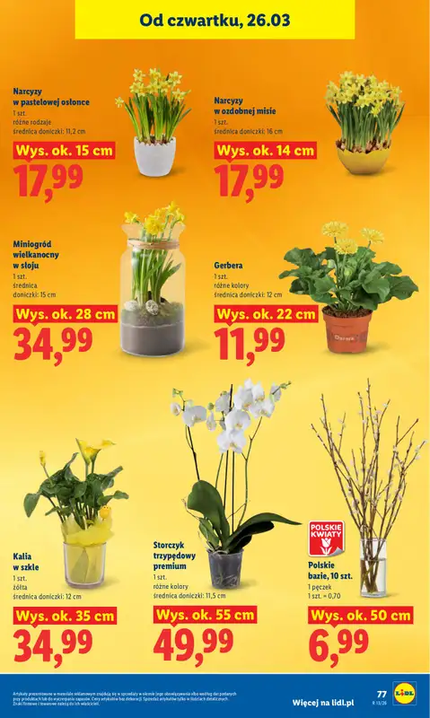 Lidl - gazetka promocyjna Oferta od czwartku od czwartku 26.03 do niedzieli 29.03 - strona 77