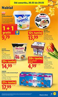 Lidl - gazetka promocyjna Oferta od czwartku od czwartku 26.03 do niedzieli 29.03 - strona 43
