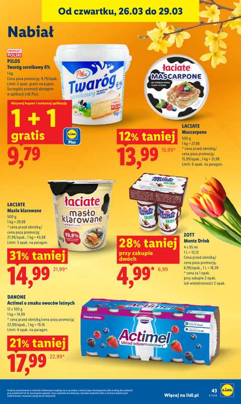 Lidl - gazetka promocyjna Oferta od czwartku od czwartku 26.03 do niedzieli 29.03 - strona 43