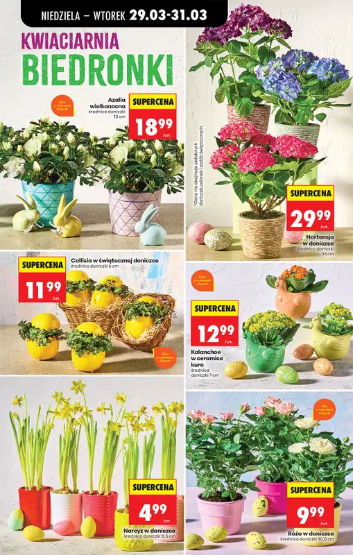 Biedronka - gazetka promocyjna Od niedzieli od niedzieli 29.03 do soboty 04.04 - strona 27
