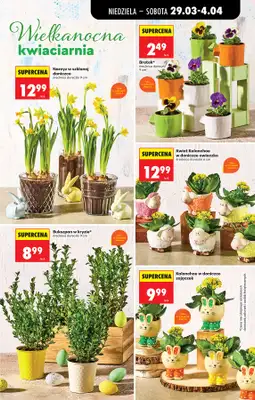 Biedronka - gazetka promocyjna Gazetka od niedzieli 29.03 do soboty 04.04 - strona 23