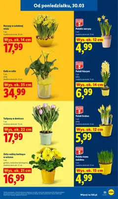 Lidl - gazetka promocyjna Oferta od poniedziałku od poniedziałku 30.03 do środy 01.04 - strona 23