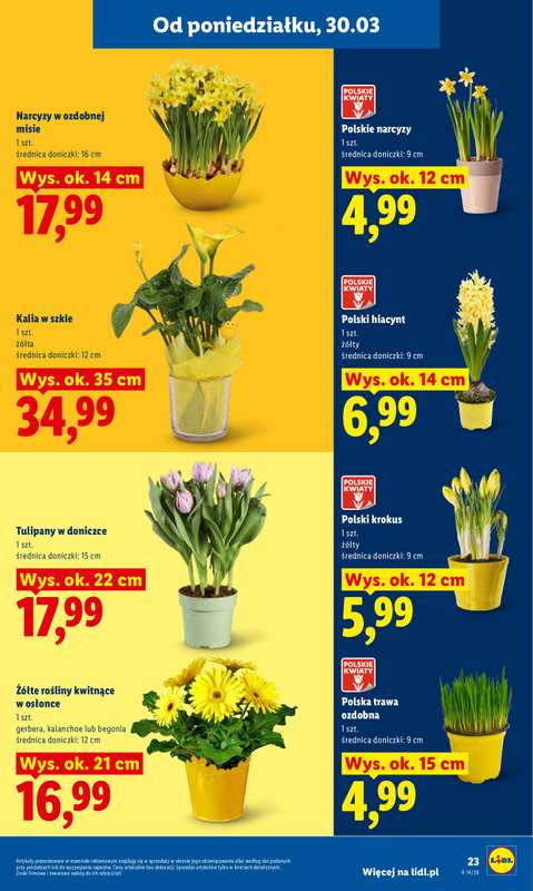 Lidl - gazetka promocyjna Oferta od poniedziałku od poniedziałku 30.03 do środy 01.04 - strona 23