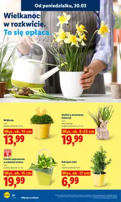 Lidl - gazetka promocyjna Oferta od poniedziałku od poniedziałku 30.03 do środy 01.04 - strona 22