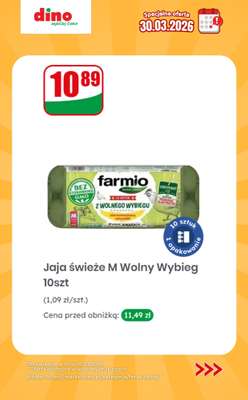 Dino - gazetka promocyjna Specjalna oferta na 30.03.2026 - promocje spoza gazetki od poniedziałku 30.03 do poniedziałku 30.03 - strona 8