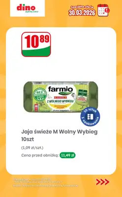 Dino - gazetka promocyjna Specjalna oferta na 30.03.2026 - promocje spoza gazetki od poniedziałku 30.03 do poniedziałku 30.03 - strona 8