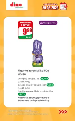 Dino - gazetka promocyjna Specjalna oferta na 30.03.2026 - promocje spoza gazetki od poniedziałku 30.03 do poniedziałku 30.03 - strona 3