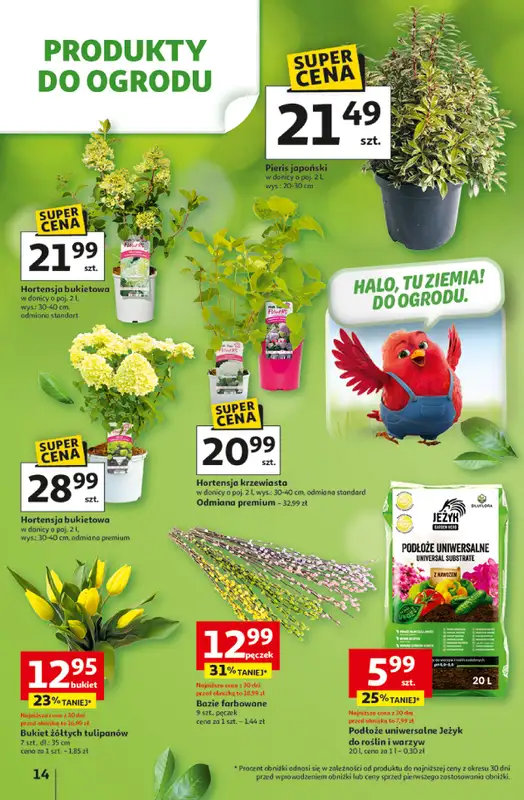 Auchan - gazetka promocyjna Gazetka 30 Lat Hipermarket Auchan od wtorku 31.03 do soboty 04.04 - strona 14