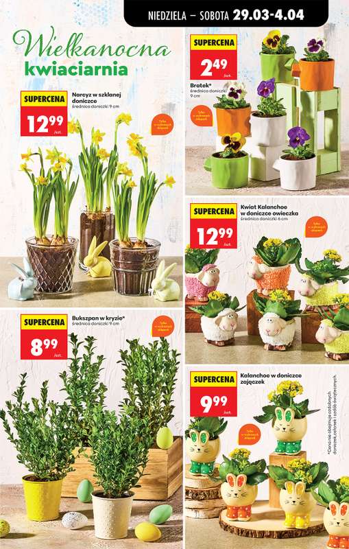 Biedronka - gazetka promocyjna Gazetka, Z ladą tradycyjną od niedzieli 29.03 do soboty 04.04 - strona 29