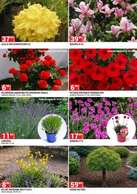 Merkury Market - gazetka promocyjna Urządź swój ogród od środy 01.04 do czwartku 30.04 - strona 6