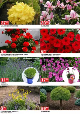 Merkury Market - gazetka promocyjna Urządź swój ogród od środy 01.04 do czwartku 30.04 - strona 6