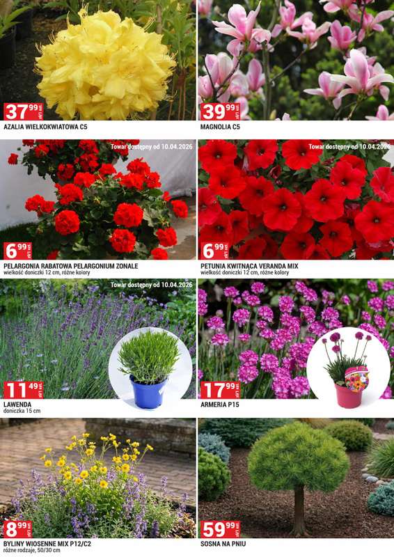 Merkury Market - gazetka promocyjna Urządź swój ogród od środy 01.04 do czwartku 30.04 - strona 6