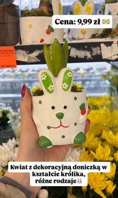 Biedronka - gazetka promocyjna Zakupowe Inspiracje w Biedronce od piątku 03.04  - strona 5