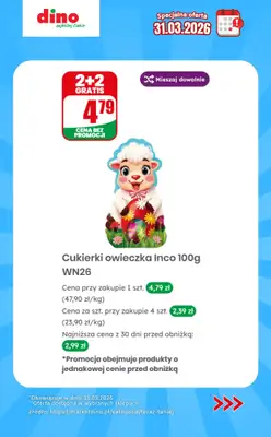 Dino - gazetka promocyjna Specjalna oferta na 31.03.2026 - promocje spoza gazetki od wtorku 31.03 do wtorku 31.03 - strona 5