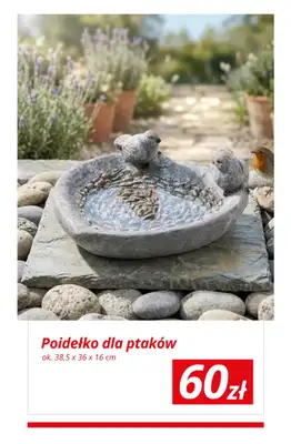 KiK - gazetka promocyjna Wiosenny ogród z KiK! od wtorku 31.03  - strona 8