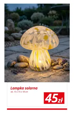 KiK - gazetka promocyjna Wiosenny ogród z KiK! od wtorku 31.03  - strona 14