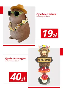 KiK - gazetka promocyjna Wiosenny ogród z KiK! od wtorku 31.03  - strona 5