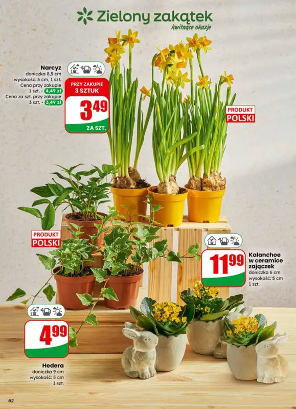 Dino - gazetka promocyjna Gazetka 14 / 2026 od środy 01.04 do wtorku 07.04 - strona 62