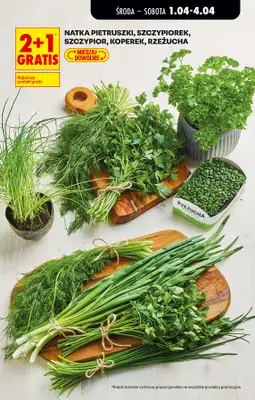 Biedronka - gazetka promocyjna Gazetka od środy 01.04 do wtorku 07.04 - strona 23