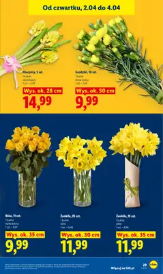 Lidl - gazetka promocyjna Oferta od czwartku od czwartku 02.04 do soboty 04.04 - strona 29