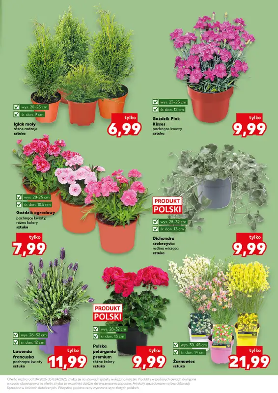 Kaufland - gazetka promocyjna Oferta Kaufland - Ogród od środy 01.04 do środy 08.04 - strona 11