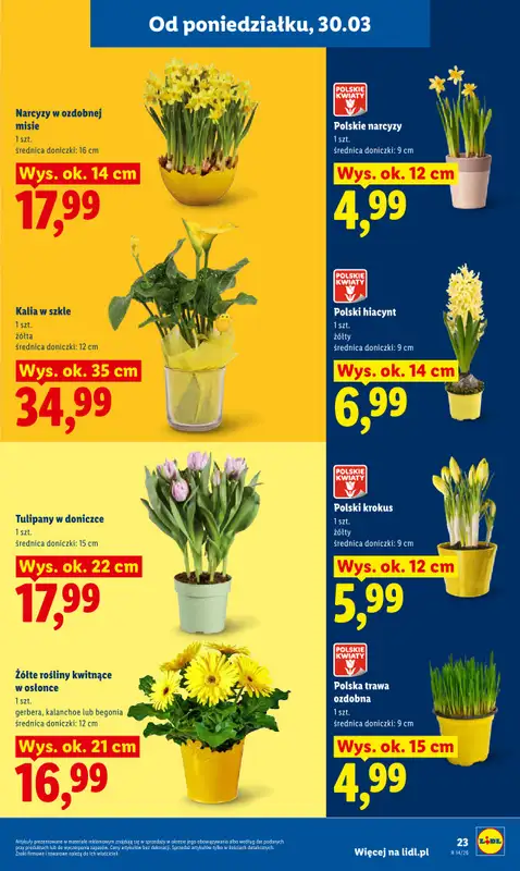 Lidl - gazetka promocyjna Oferta od poniedziałku od poniedziałku 30.03 do środy 01.04 - strona 23