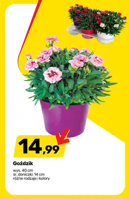 Bricomarche - gazetka promocyjna Powiew wiosny na tarasie! od środy 01.04 do soboty 04.04 - strona 3