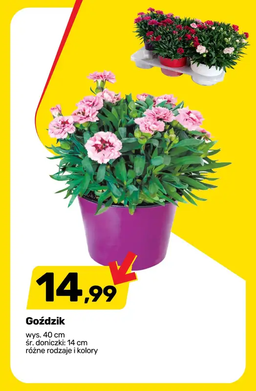 Bricomarche - gazetka promocyjna Powiew wiosny na tarasie!   - strona 3