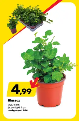 Bricomarche - gazetka promocyjna Powiew wiosny na tarasie! od środy 01.04 do soboty 04.04 - strona 10